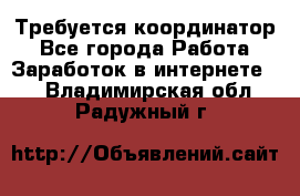 Требуется координатор - Все города Работа » Заработок в интернете   . Владимирская обл.,Радужный г.
